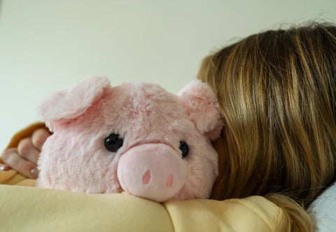 Person holding a pink plush pig toy against a light background