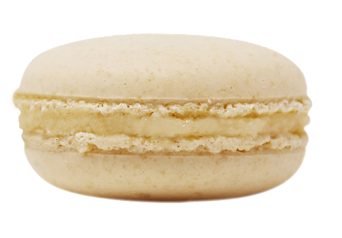 Custom Bundle Case Vanilla Macaron