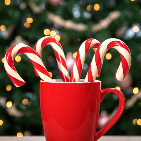 Lolli and Pops Candy Canes Peppermint Candy Cane
