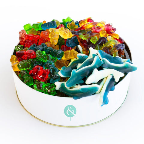 Lolli and Pops Gift Tins Animal Planet Gift Tin