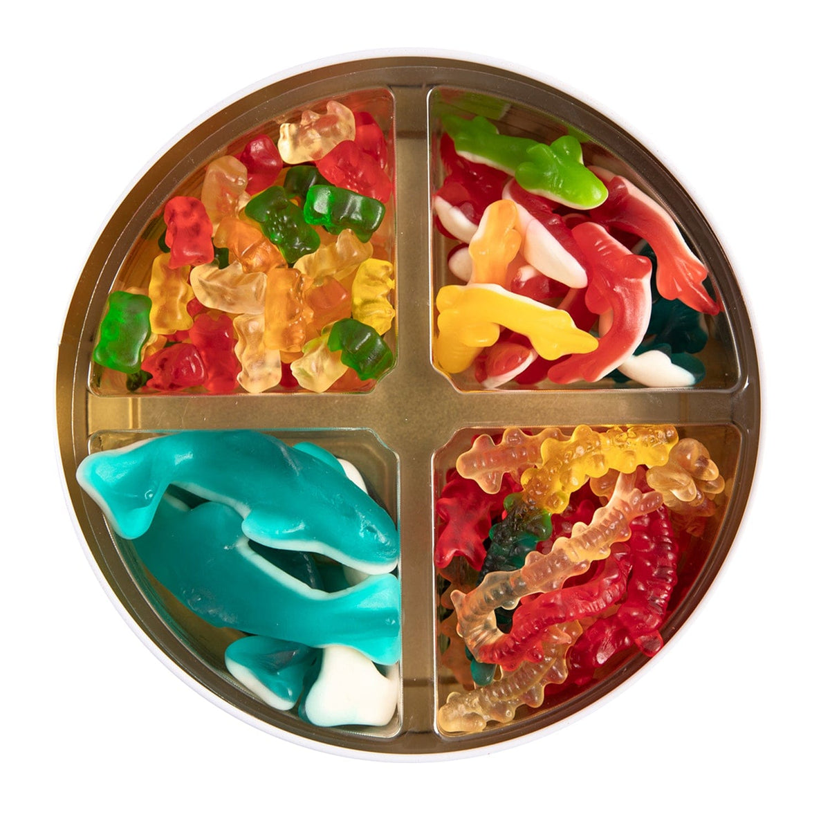 Lolli and Pops Gift Tins Animal Planet Tin