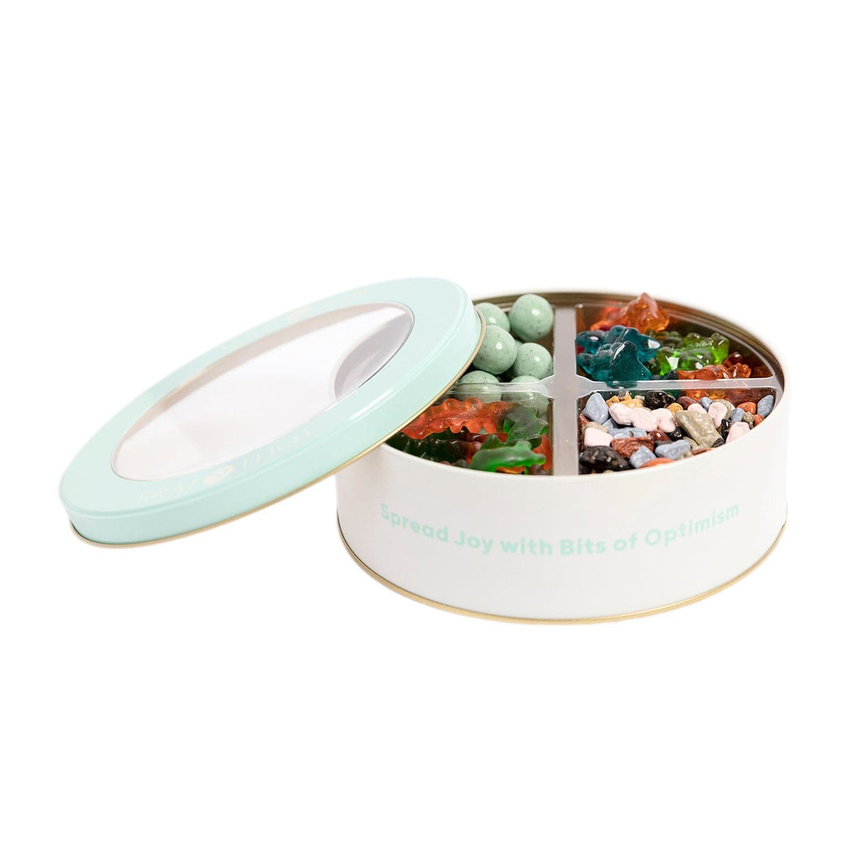 Lolli and Pops Gift Tins Dinosaur Delights Gift Tin