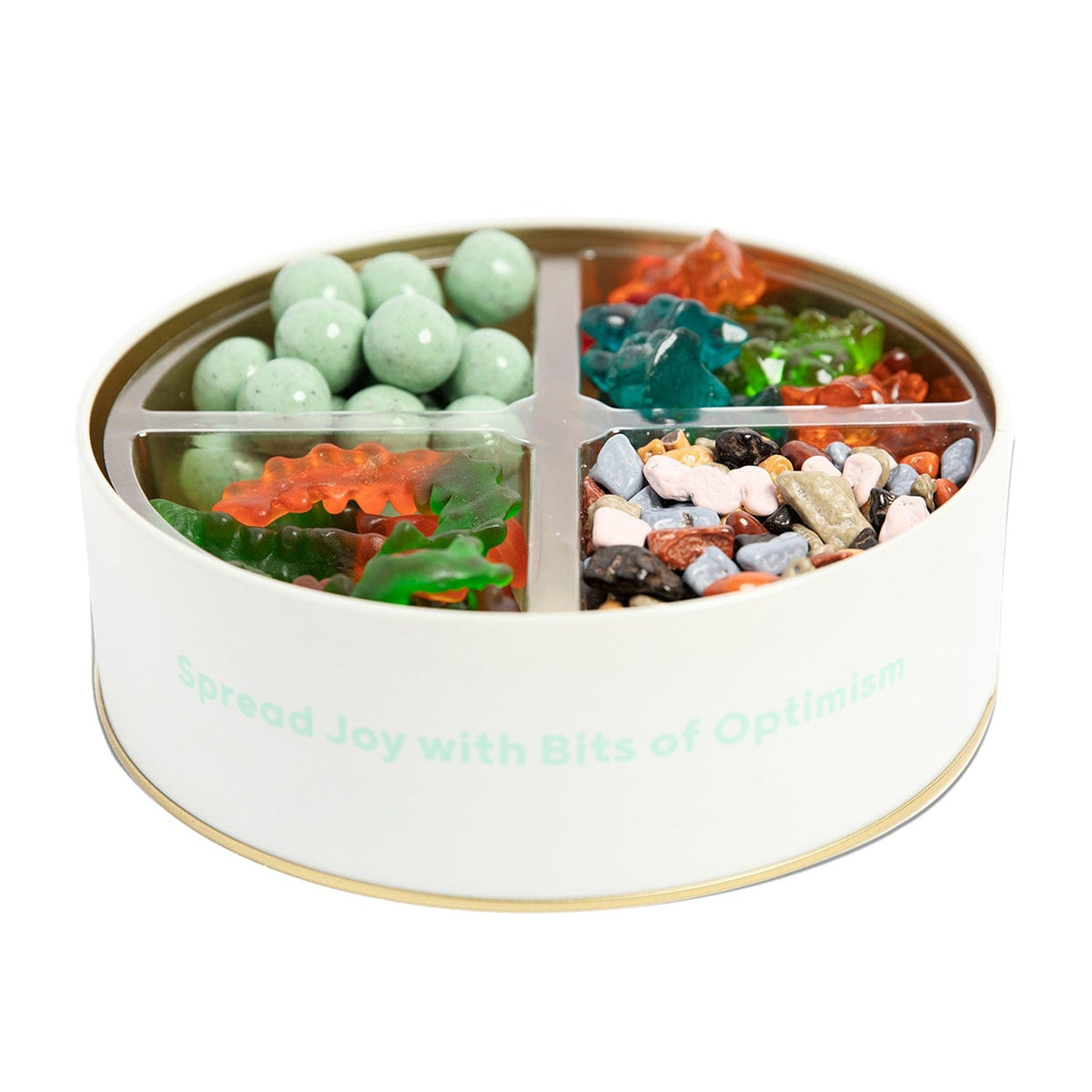 Lolli and Pops Gift Tins Dinosaur Delights Gift Tin