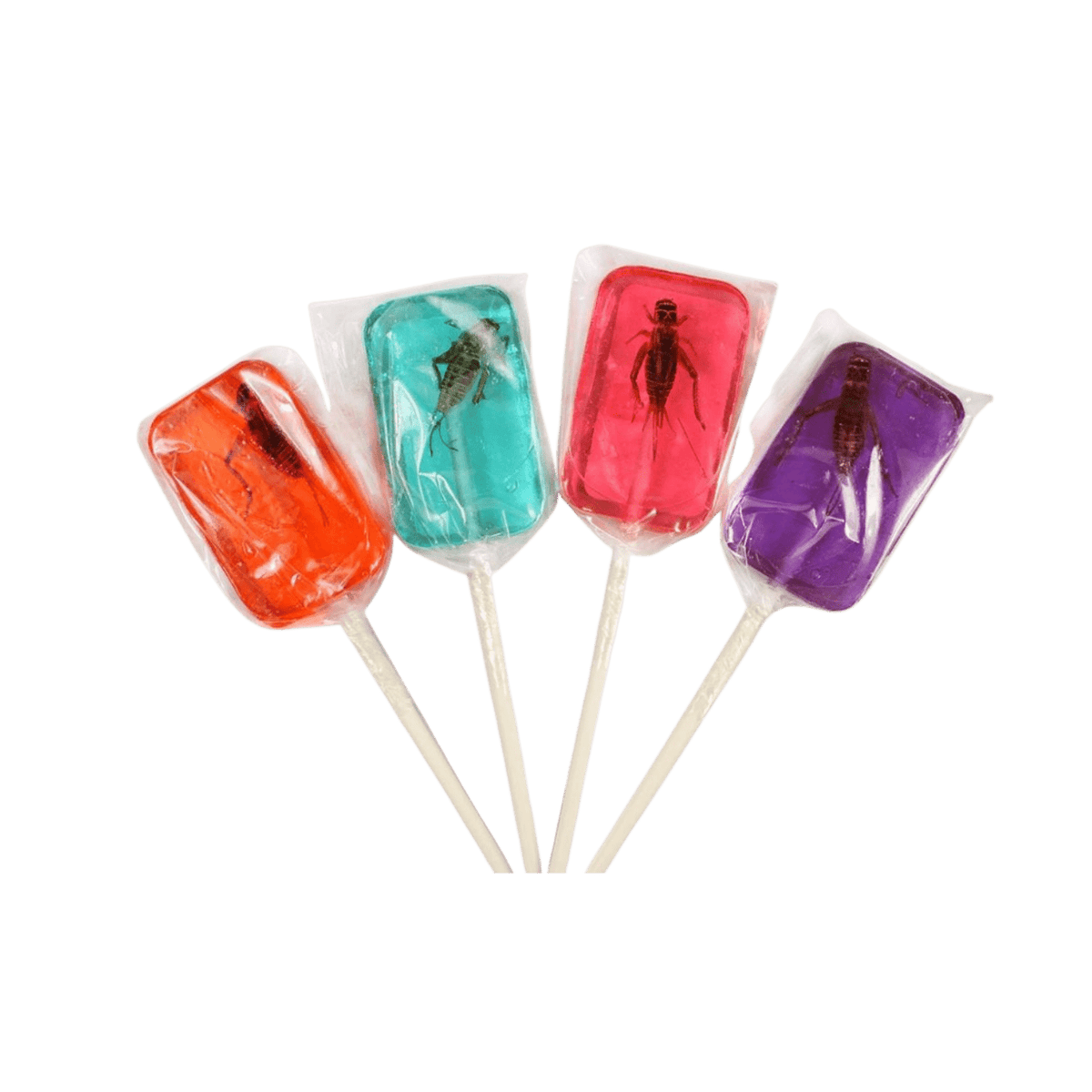Lolli and Pops Novelty Cricket Lick-It Sucker
