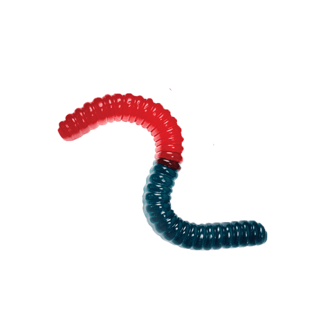 Lolli and Pops Novelty Largest Gummy Worm - Blue & Red