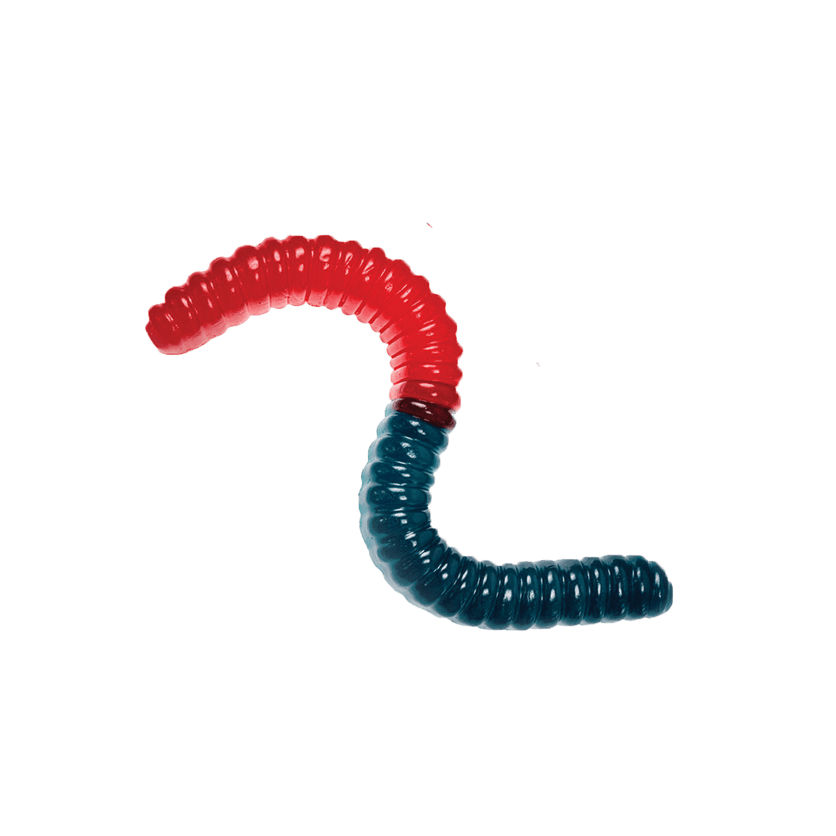 Lolli and Pops Novelty Largest Gummy Worm - Blue &amp; Red