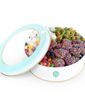Lolli & Pops Gift Tins Birthday Everyday Gift Tin